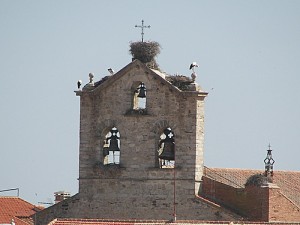 ayuntamiento-campanario-688058